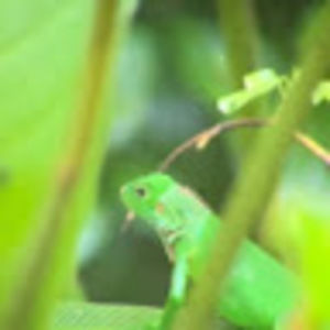 Meet your Posher, Karen